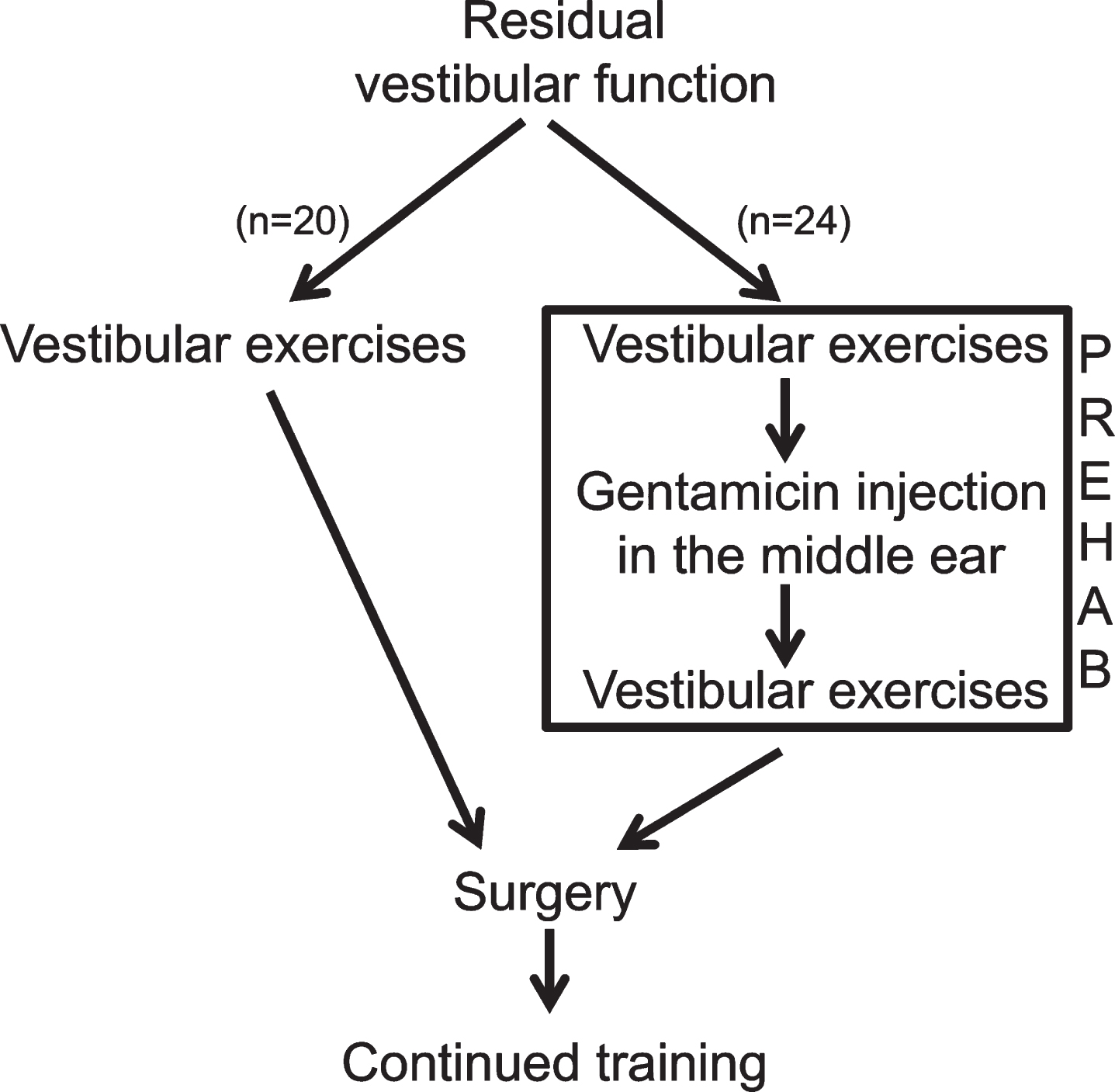 The algorithm for the present study also defining the vestibular PREHAB protocol. n = the participants in each arm for the present study.