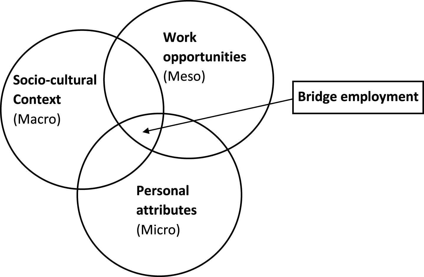 Bridge employment seen from three system levels (Freely from Shultz, 2003).