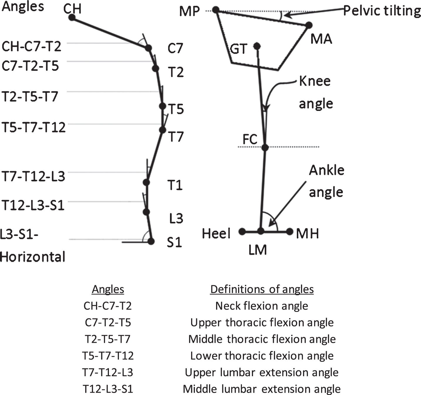 Definitions of various angles of body alignment (Left: Spinal curvature; Right – lower limb angles). CH = chin; MP = mid-point of posterior superior iliac spines; MA = mid-point of anterior superior iliac spine; GT = great trochanter; FC = femoral condyle; LM = lateral malleolus; MH = second metatarsal head.
