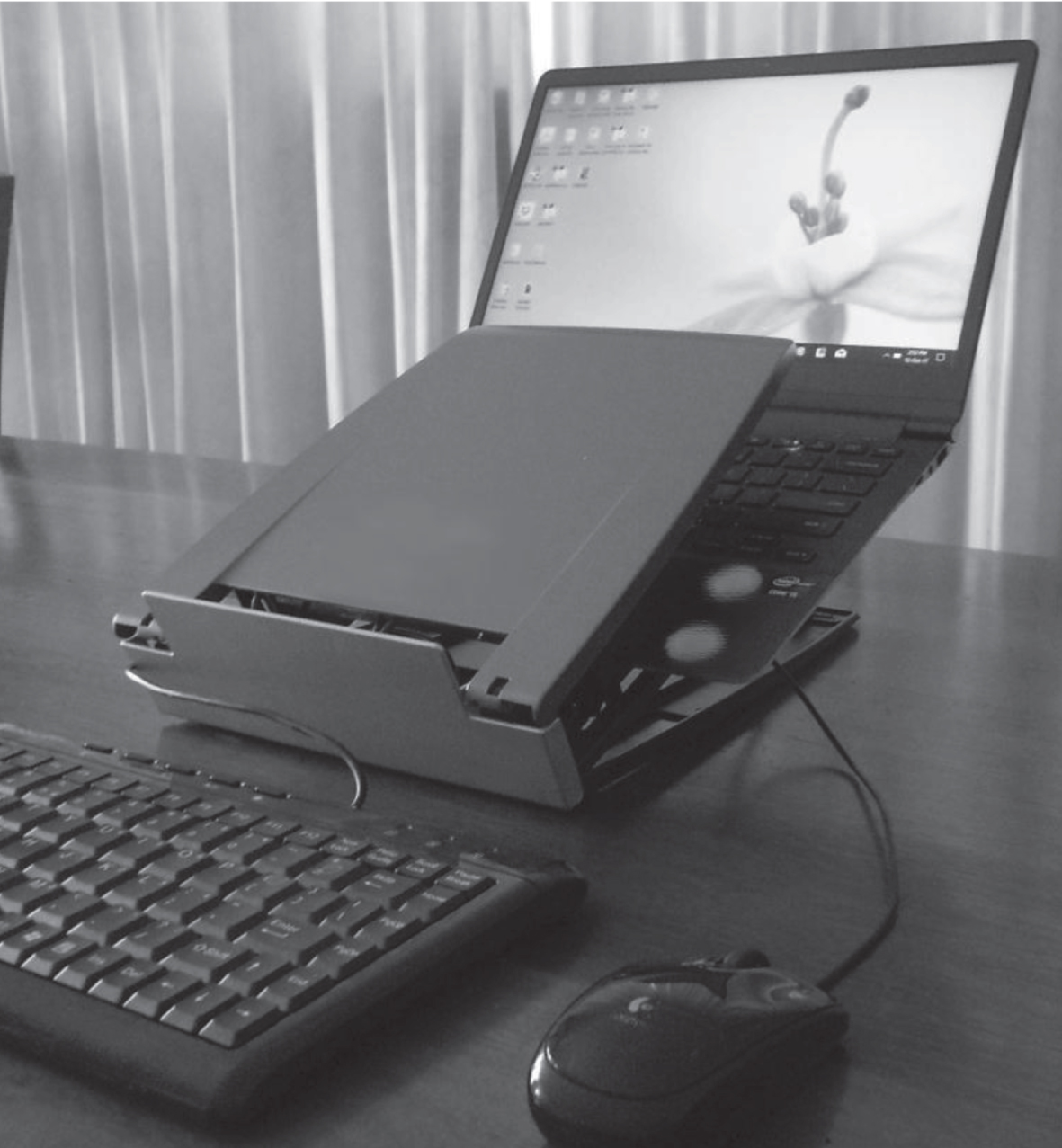 Example of a laptop-station with external mouse and keyboard.