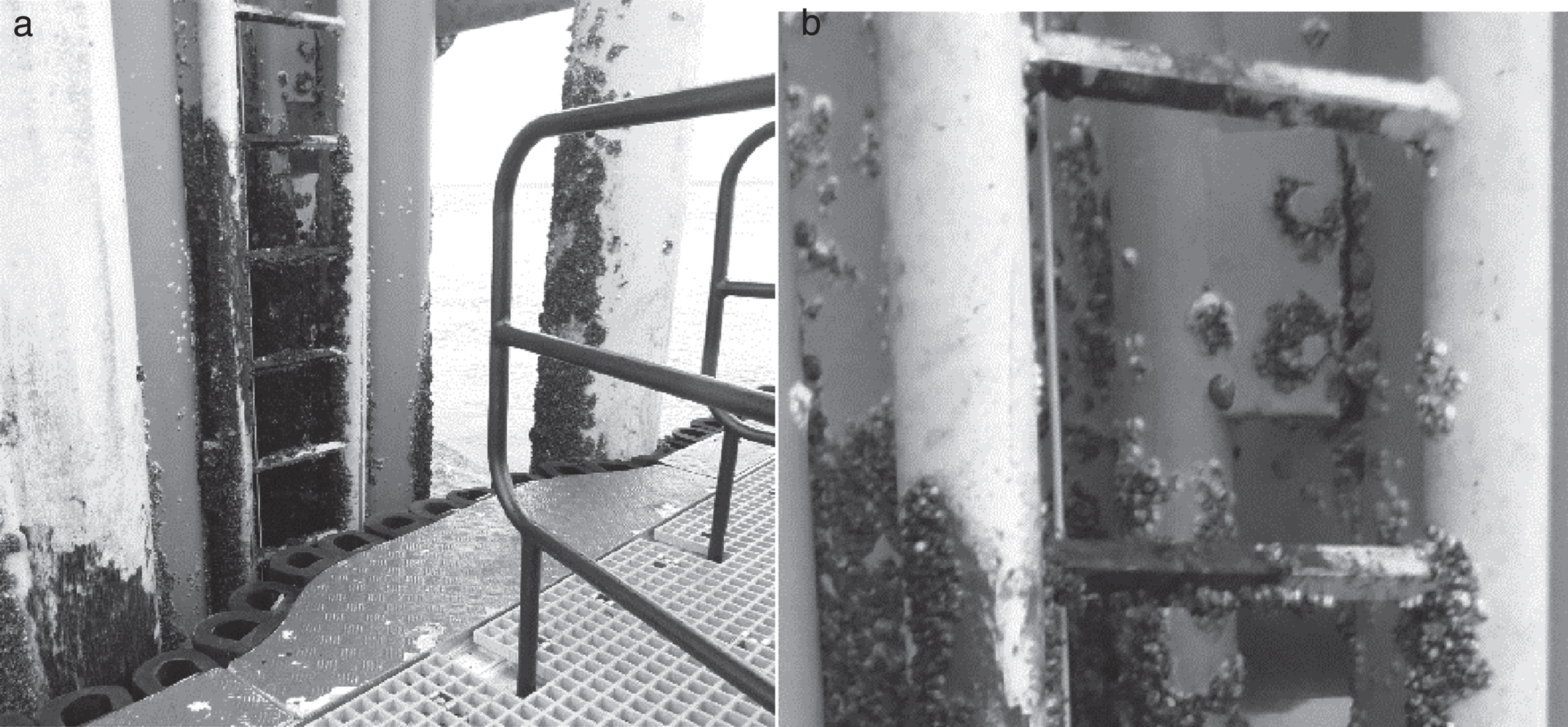 Examples of the external ladder on a turbine. NB. Figure 2a depicts a vessel up against an external ladder.