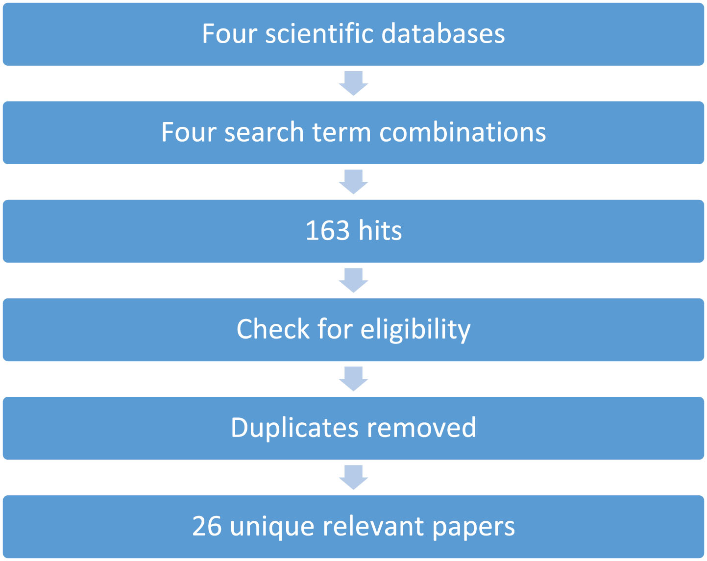 Literature review: search process.