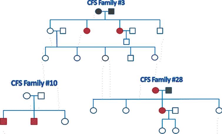 ME/CFS family pedigrees. The pedigrees of the 3 ME/CFS families are illustrated with dark gray fill for deceased parents, red fill for the ME/CFS patients and unfilled symbols for the family members without ME/CFS. Circles indicate women and squares men.