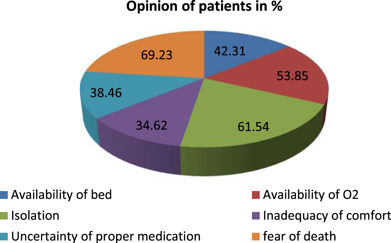 Opinion of patients regarding the reasons of stress.