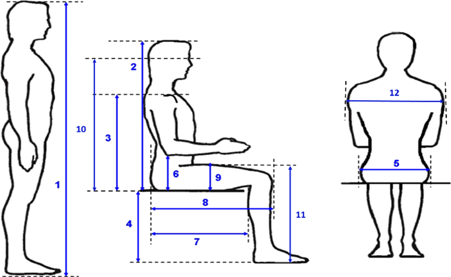 Anthropometric measurements: 1. Body stature, 2. Sitting height erected, 3. Shoulder height, 4. Popliteal height, 5. Hip breadth, 6. Elbow height, 7. Buttock-popliteal length, 8. Buttock-knee length, 9. Thigh clearance, 10 Eye height, 11. Knee height, 12. Shoulder breadth.