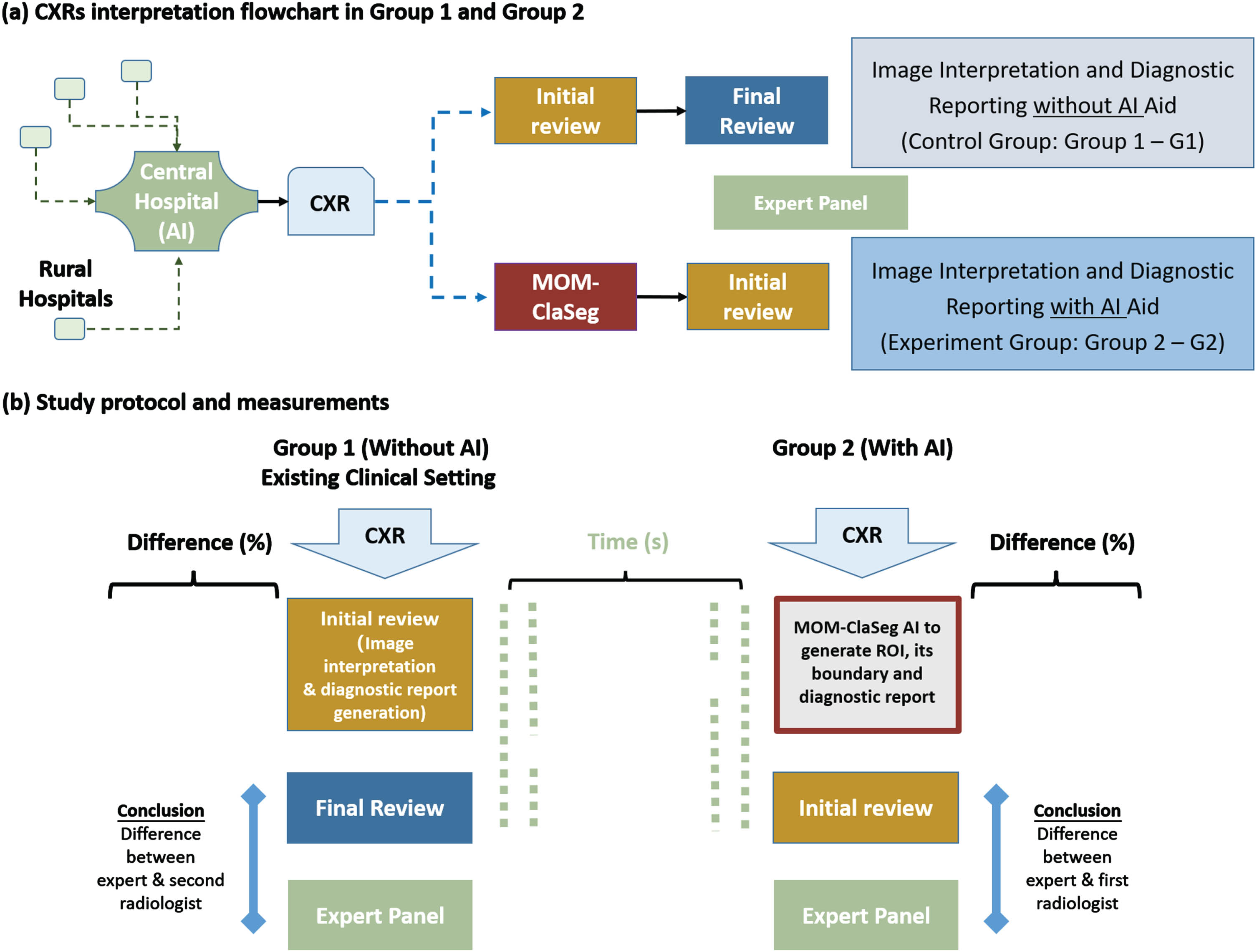 Study design for the retrospective double blinded study. (a) CXR image interpretation flowchart: In the control group (G1), the first radiologist reads the CXR images, and the second radiologist reviews the initial report to make the final decision. In the experiment group (G2), MOM-ClaSeg is used as a first reader to automatically analyze CXR images and generate diagnostic reports, then a radiologist reviews and possibly modifies AI-generated diagnostic reports. (b) Study protocol and measurements: Expert panel sets up gold standard to evaluate the accuracy of final double-reading diagnostic reports in G1 and final single-reading diagnostic reports in G2.