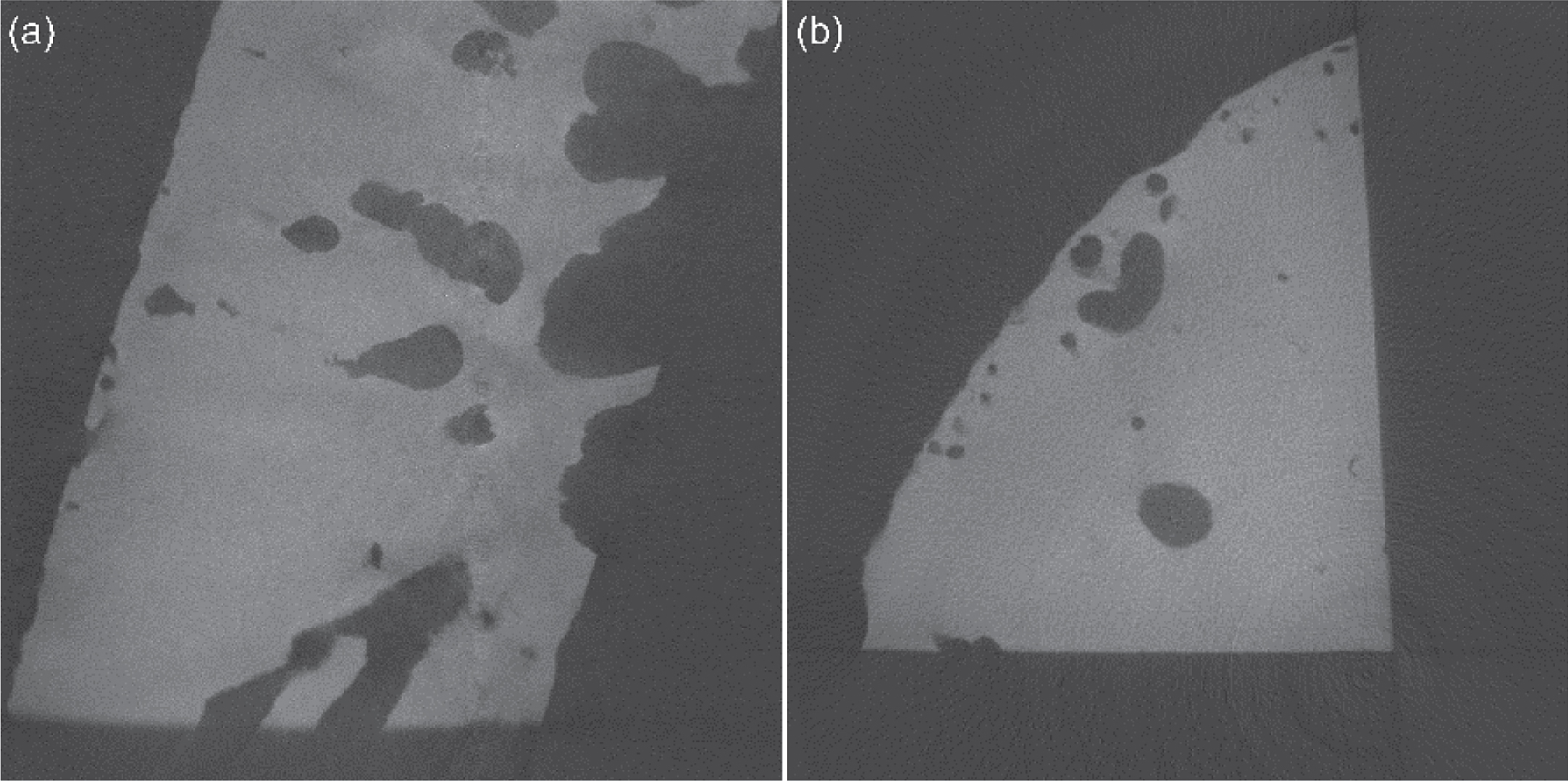 CT images (a) of the same orientation, and (b) orthogonal to image in Fig. 3(a). Note that (b) is smaller and has less material than (a) and has been cropped and resized for visualization.