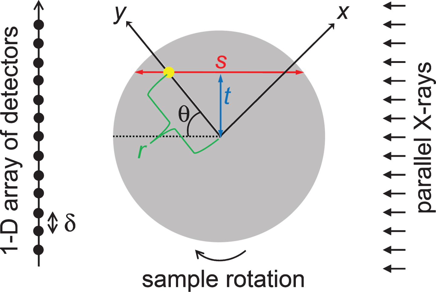 The configuration of a cylindrical sample (in grey) with radius R in an imaging system with a detector gap δ. The polar coordinates of an arbitrary point (the yellow dot) within the sample are (r, θ). Another coordinate system (an x - y system) is rotated by 180 degree during the X-ray emissions. The sample center coincides with the center of rotation.