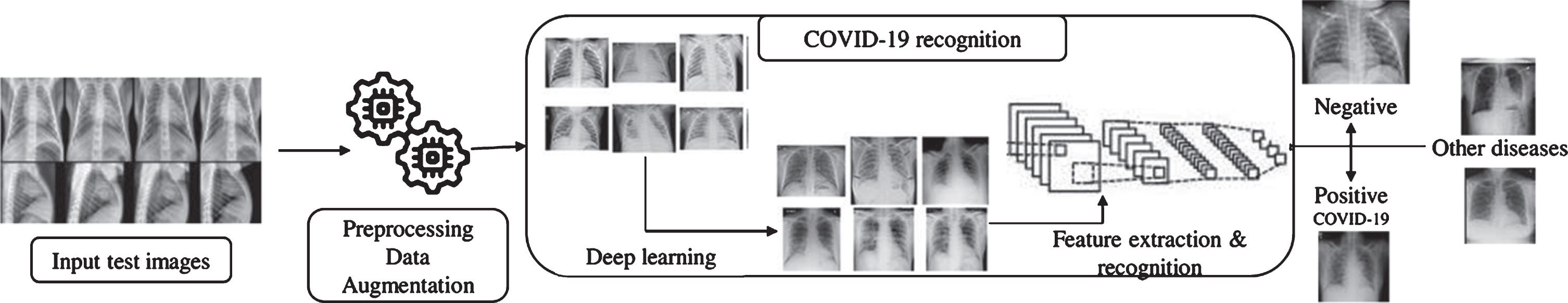 Architecture diagram for proposed virus recognition phase. Different Deep conventional neural network architectures implemented to figure out the COVID-19.