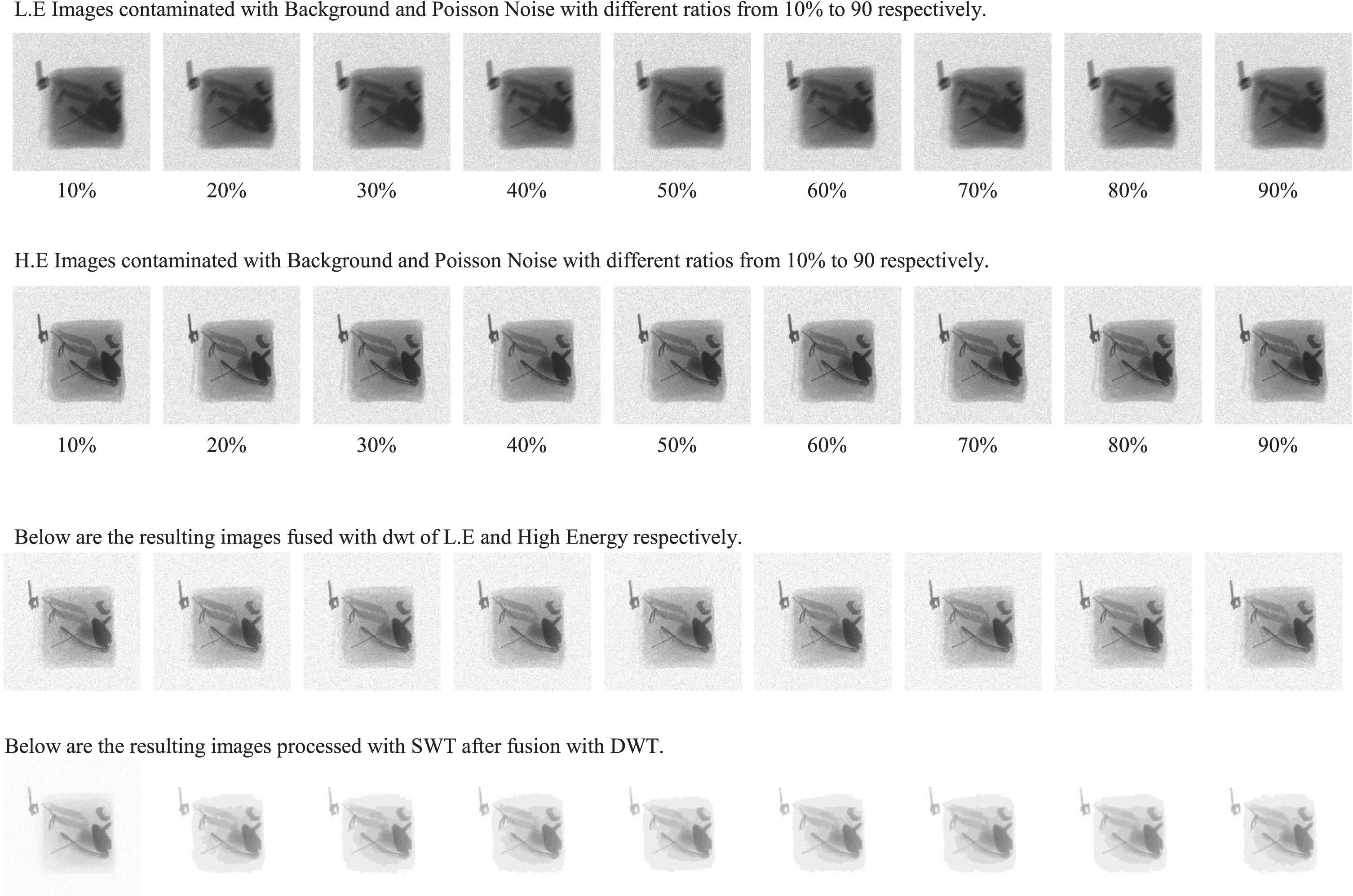 Contain the images with the different noise ratio and processed images of size 256×256.